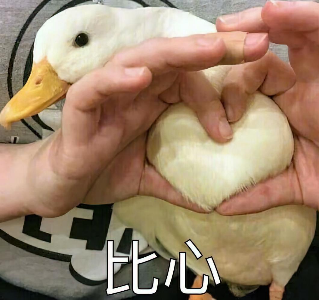 现在的九零后想开了：只要不婚不房，人生任我癫狂