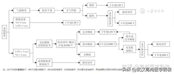 10毫米的肺结节恶性死亡率有多大,1厘米多的肺结节良性可能性多大
