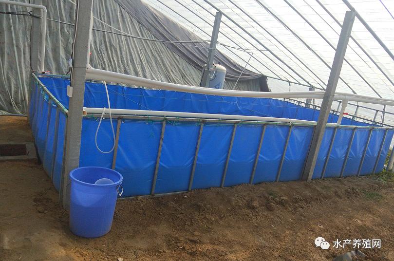 帆布池养殖加盟套路,帆布池养殖风险分析