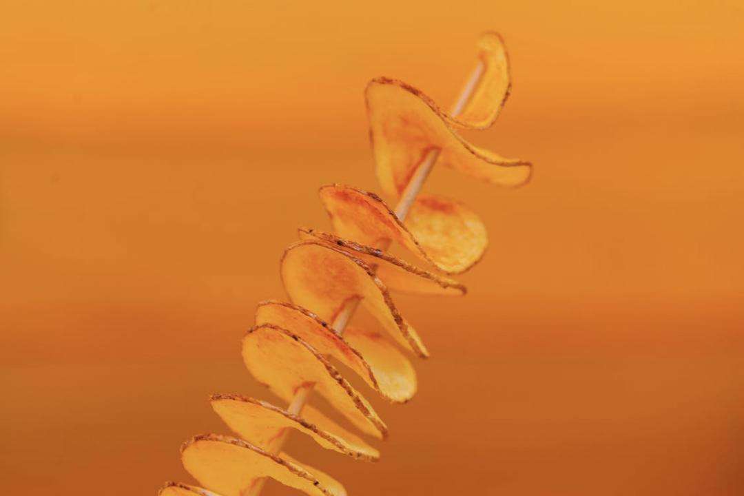 人参沙参西洋参，*党**参丹参太子参，功效大不同，癌症别乱用