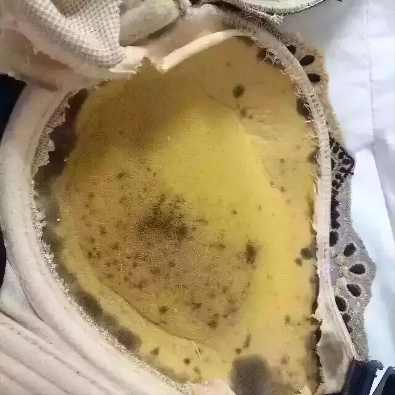 调整型内衣和聚拢内衣的区别,该穿调整型内衣还是运动型内衣