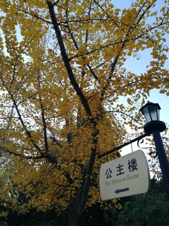 青岛3日旅游攻略学生,青岛三日游最佳旅游攻略