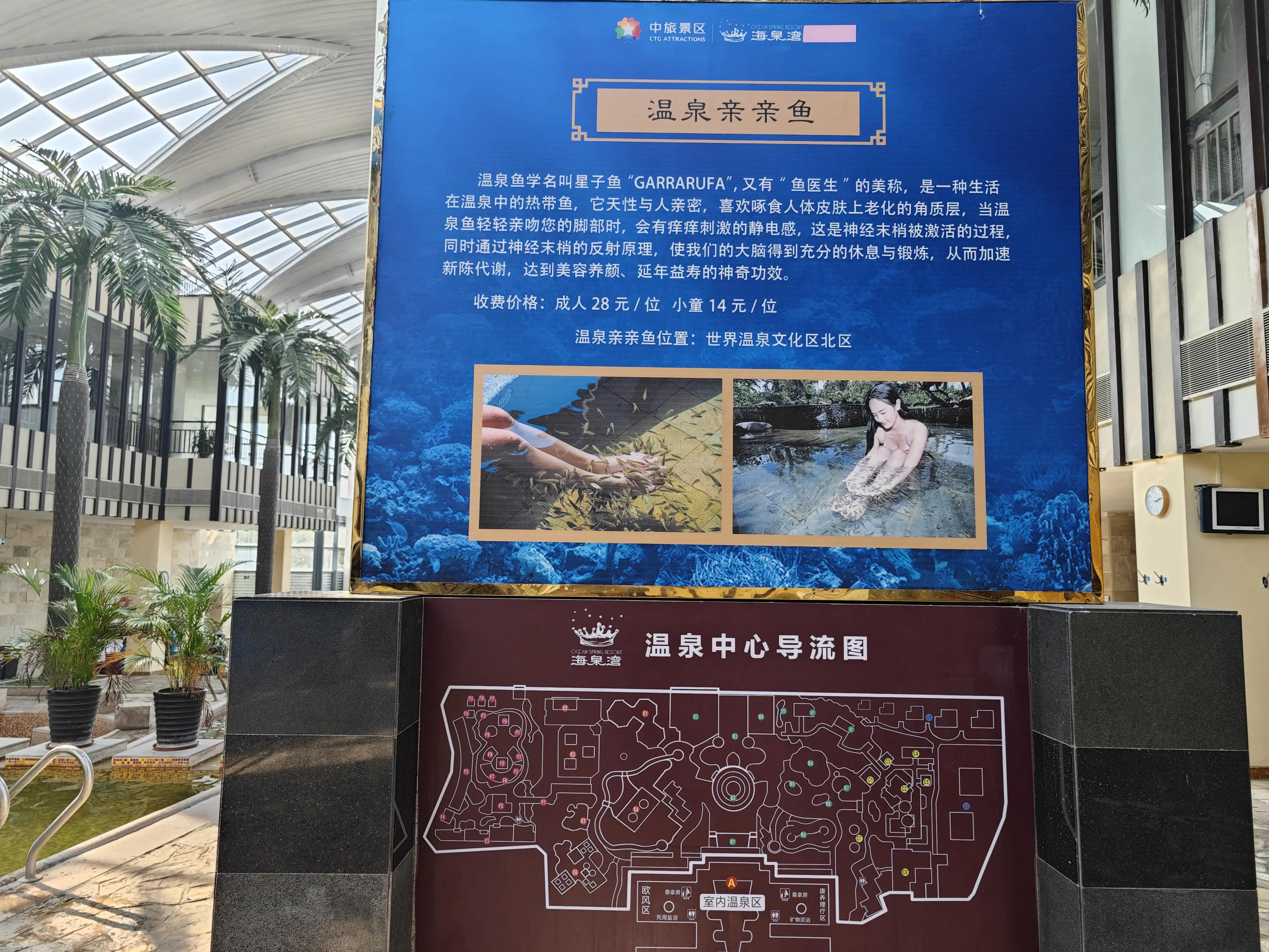 海洋温泉海边,海洋温泉