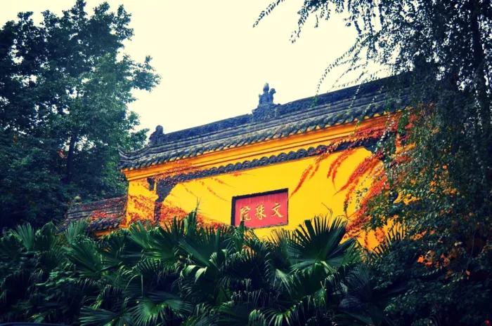 成都到青岛自驾游住宿攻略,成都旅游住宿攻略及费用