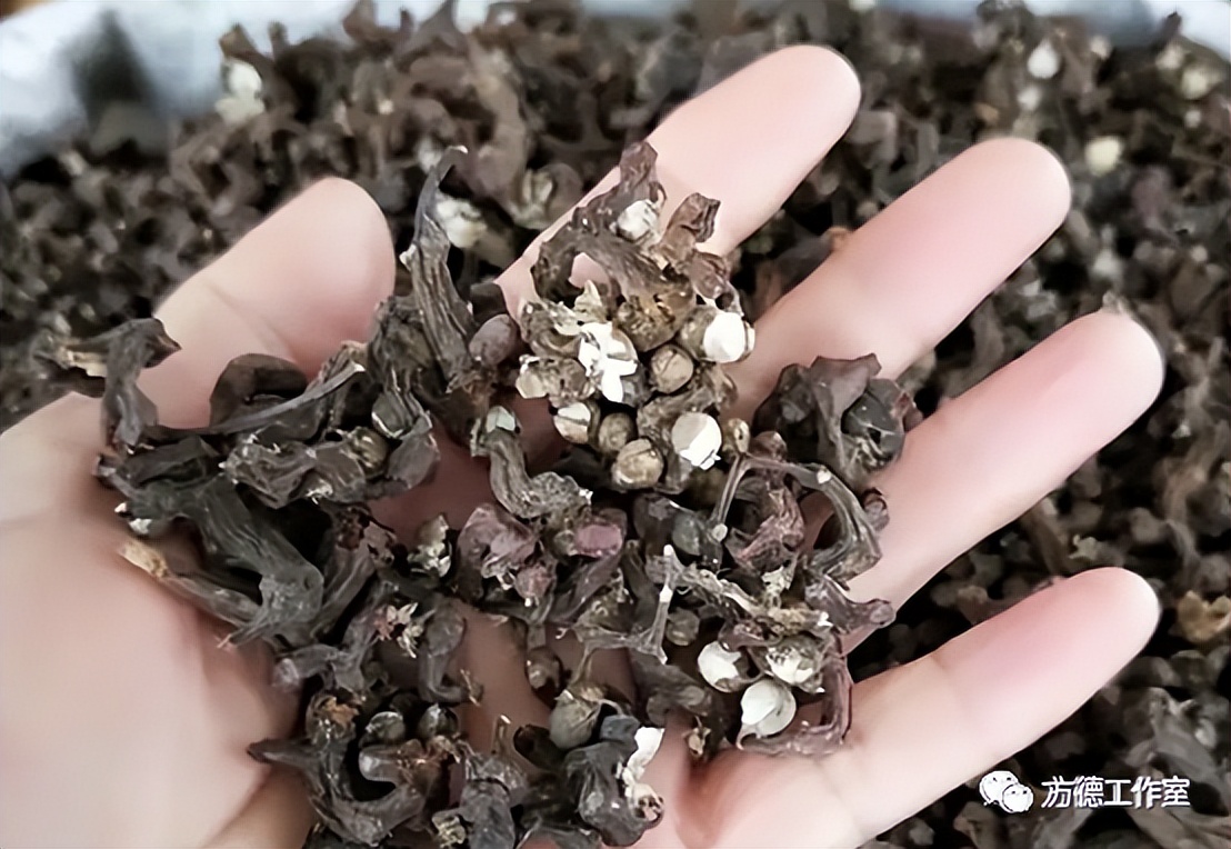 小时侯吃过的拐椒，为啥记忆是那样香甜