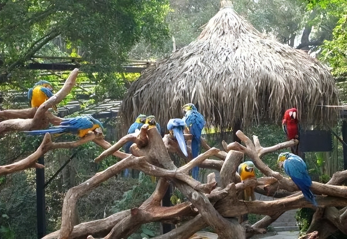 【FENG娱】王佐镇:娱乐+科普+自然,暑假解锁亲子出游新方式!