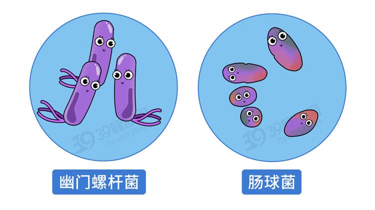 阿莫西林是好药但只对四种病有效,阿莫西林别滥用只针对这六种病