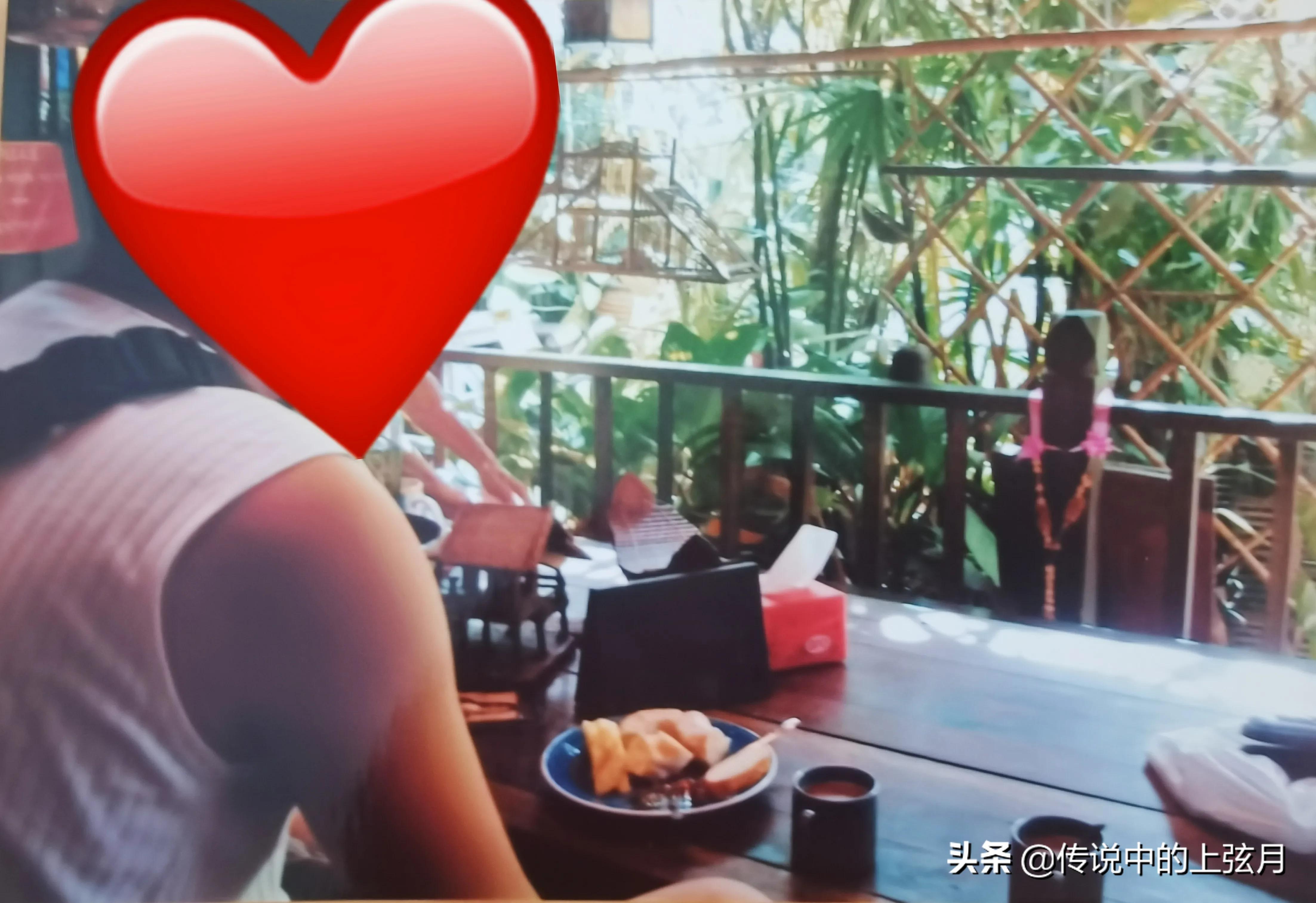 忆旧游全文,忆昔旧游全文阅读