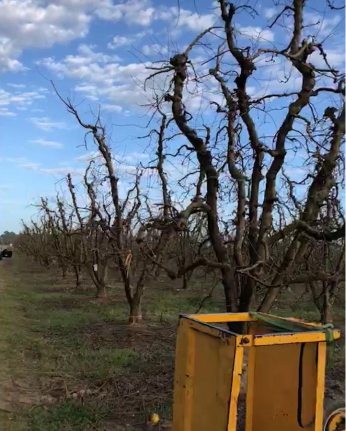 出国打工回国的感受,出国留学打工的真实感受