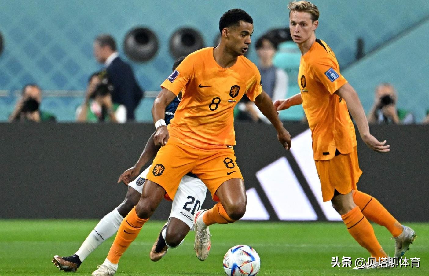 荷兰队对厄瓜多尔怎么是胜平呢,世界杯荷兰厄瓜多尔上半场