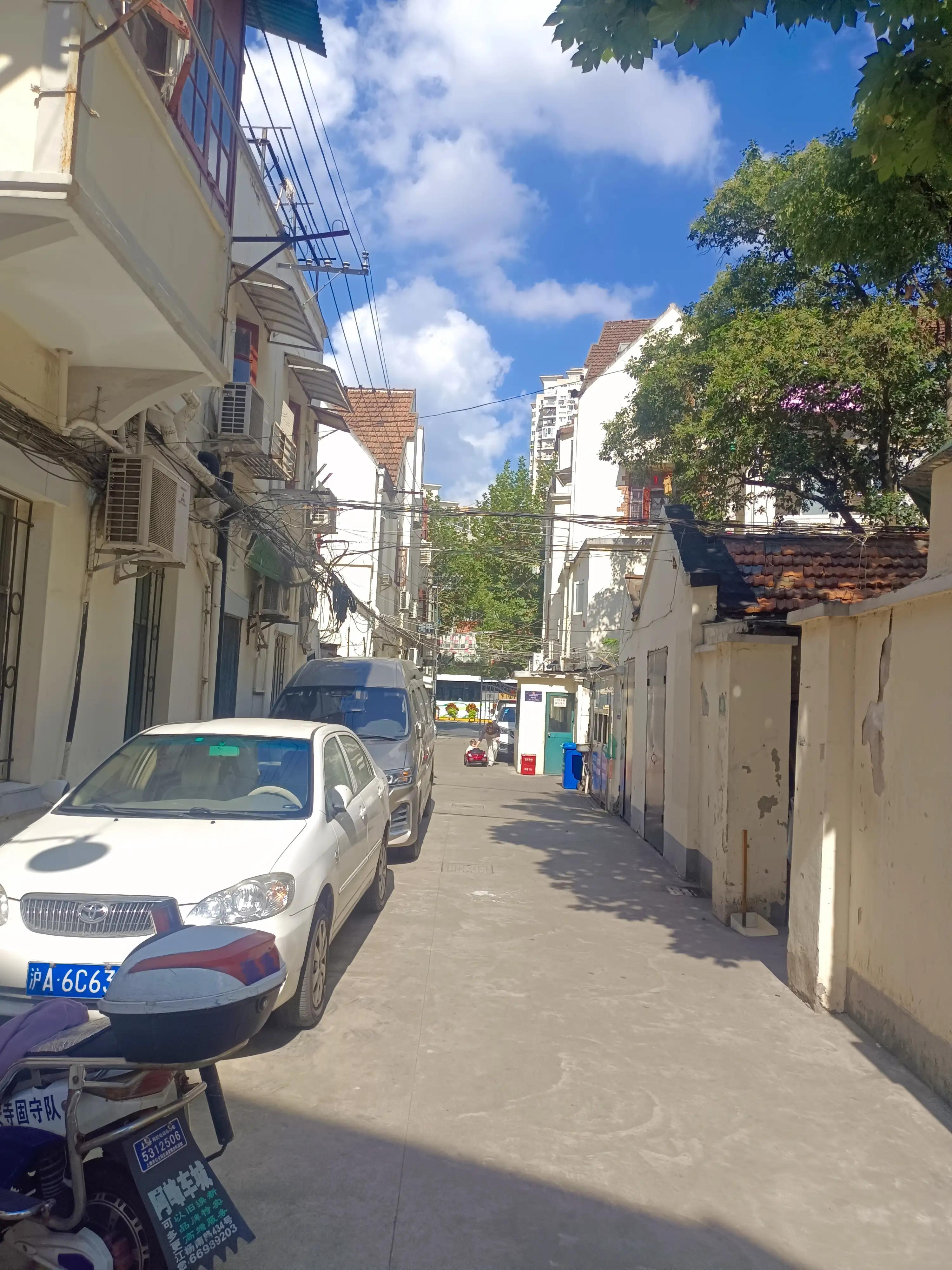 胡适三妻四妾,胡适两位夫人