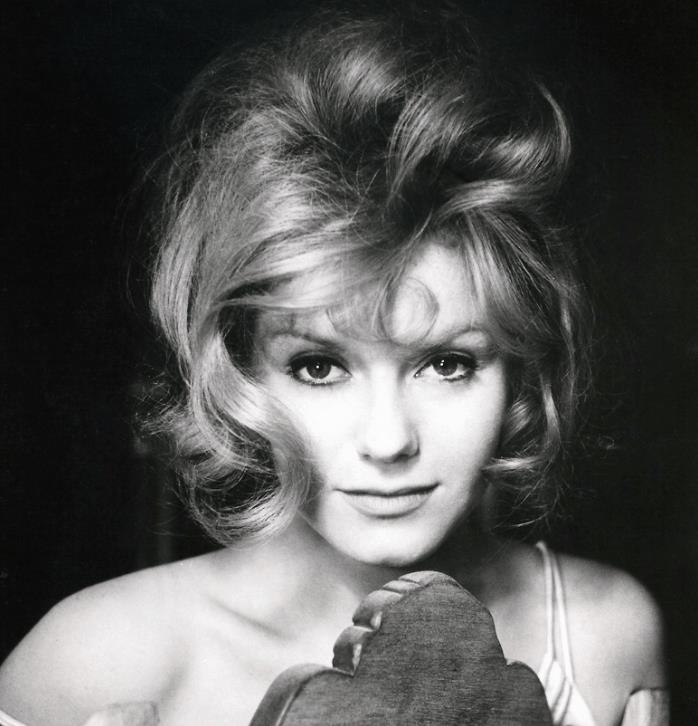 李小龙莎朗法雷尔,莎朗·法雷尔图片