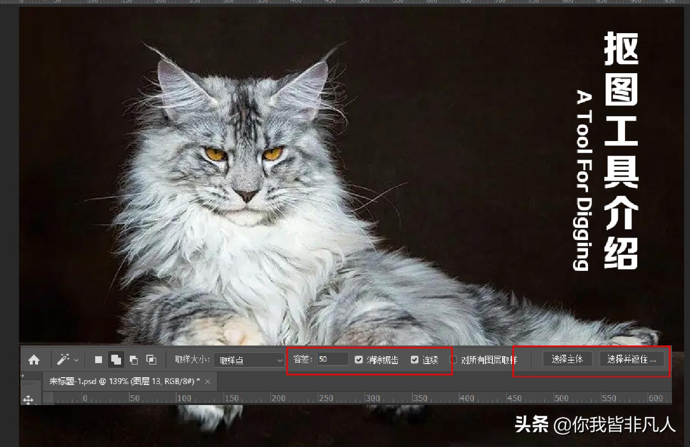 photoshop抠图步骤与方法,photoshop怎么抠图详细教程