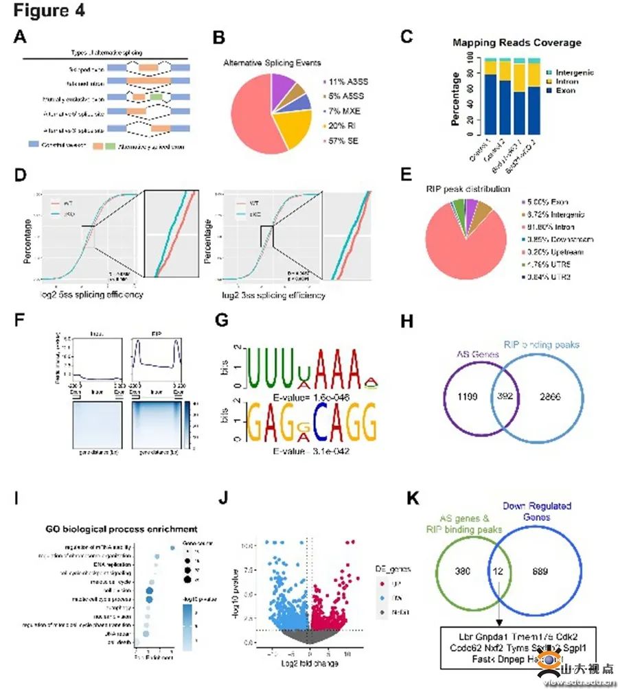 您的SDU学术一览，请及时签收！