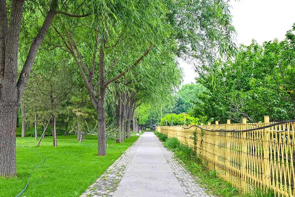 北京免费景美公园大全,北京这个公园也很美