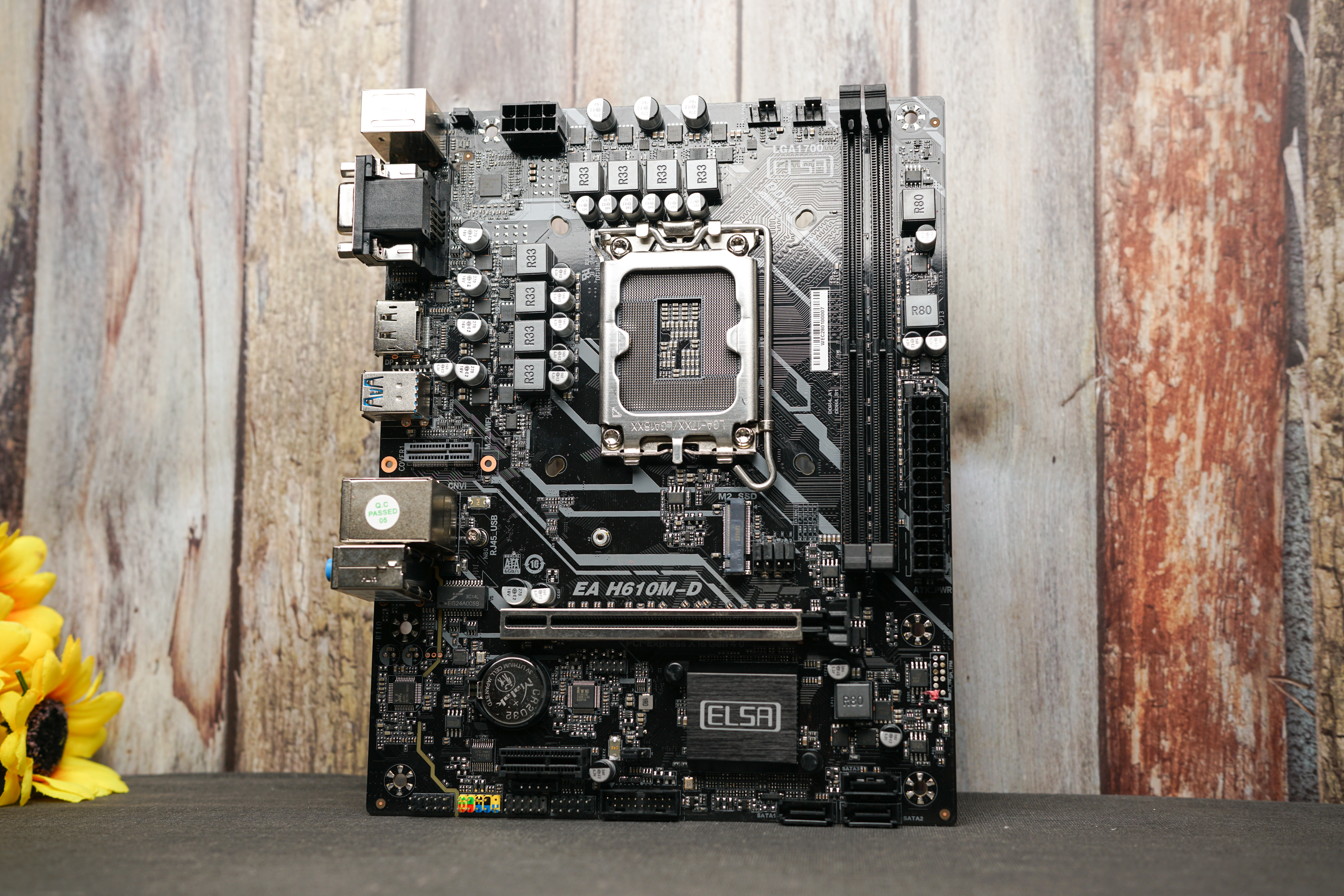 死亡岛2十年,死亡岛22070s