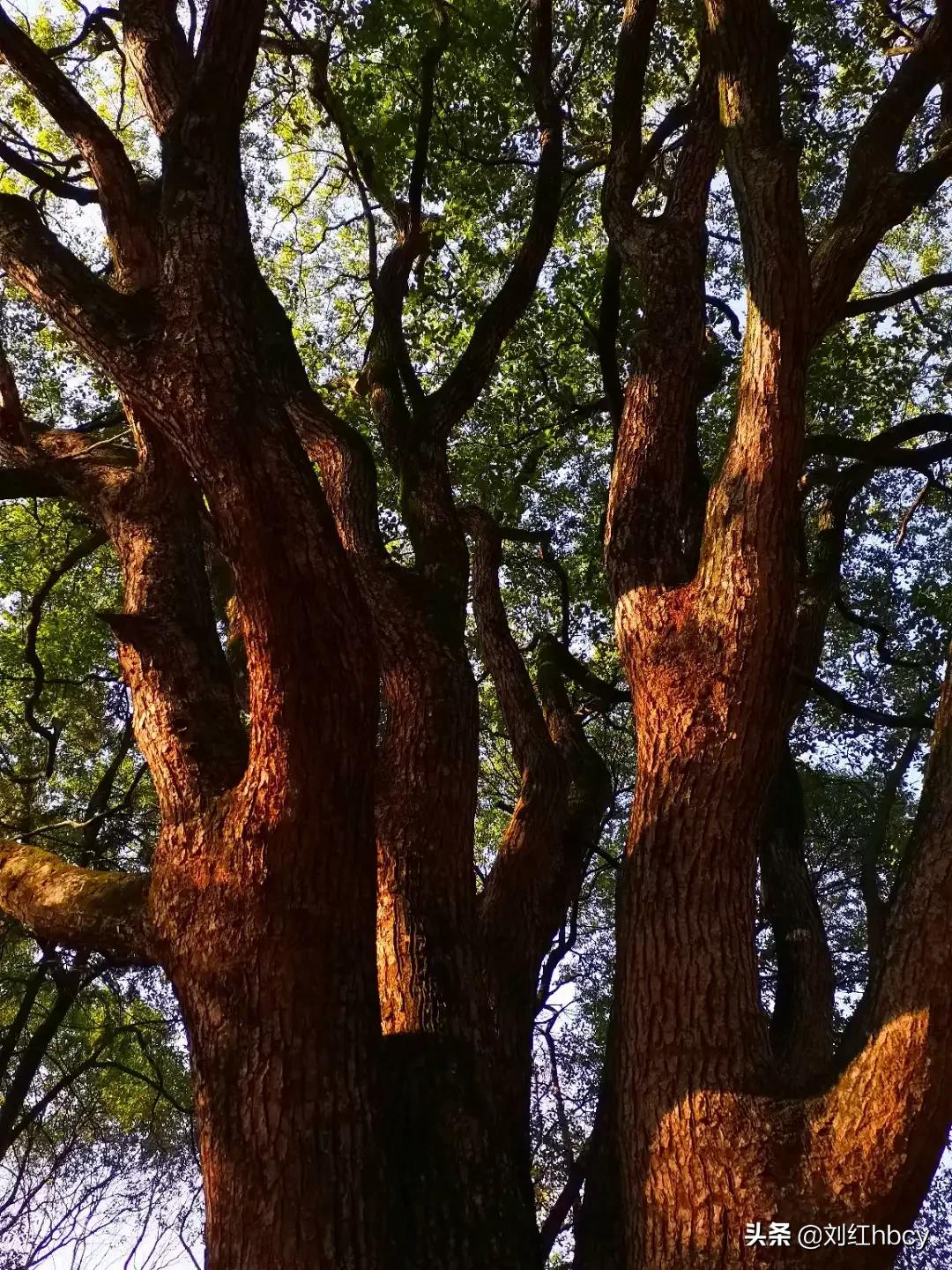 值得一看的小说：《桃花潭》（3）