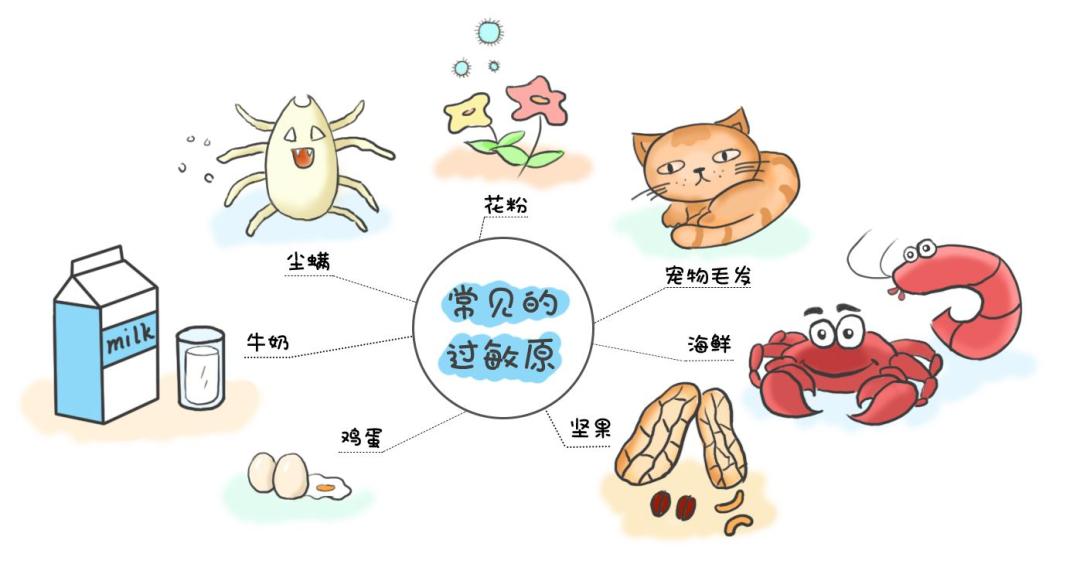 被毒蚊子咬后过敏图片,被蚊子叮咬过敏怎么办