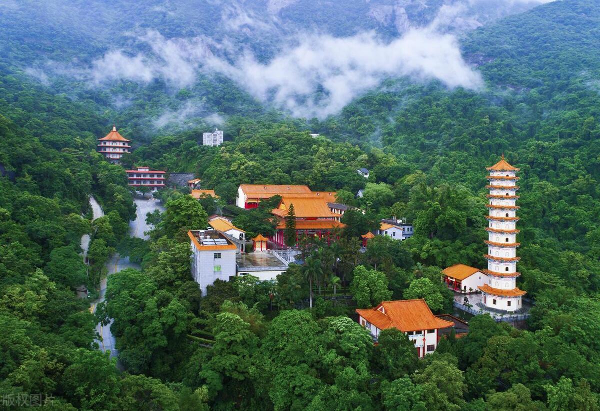 马尔代夫哪个岛可以看见海龟,马尔代夫海龟一般出现在哪里