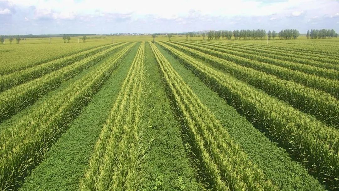 农机智造让春耕春播更高效,农机智能化打开三农发展新空间