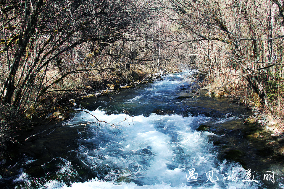 如果一生只去一个古城,一生去一次九寨沟
