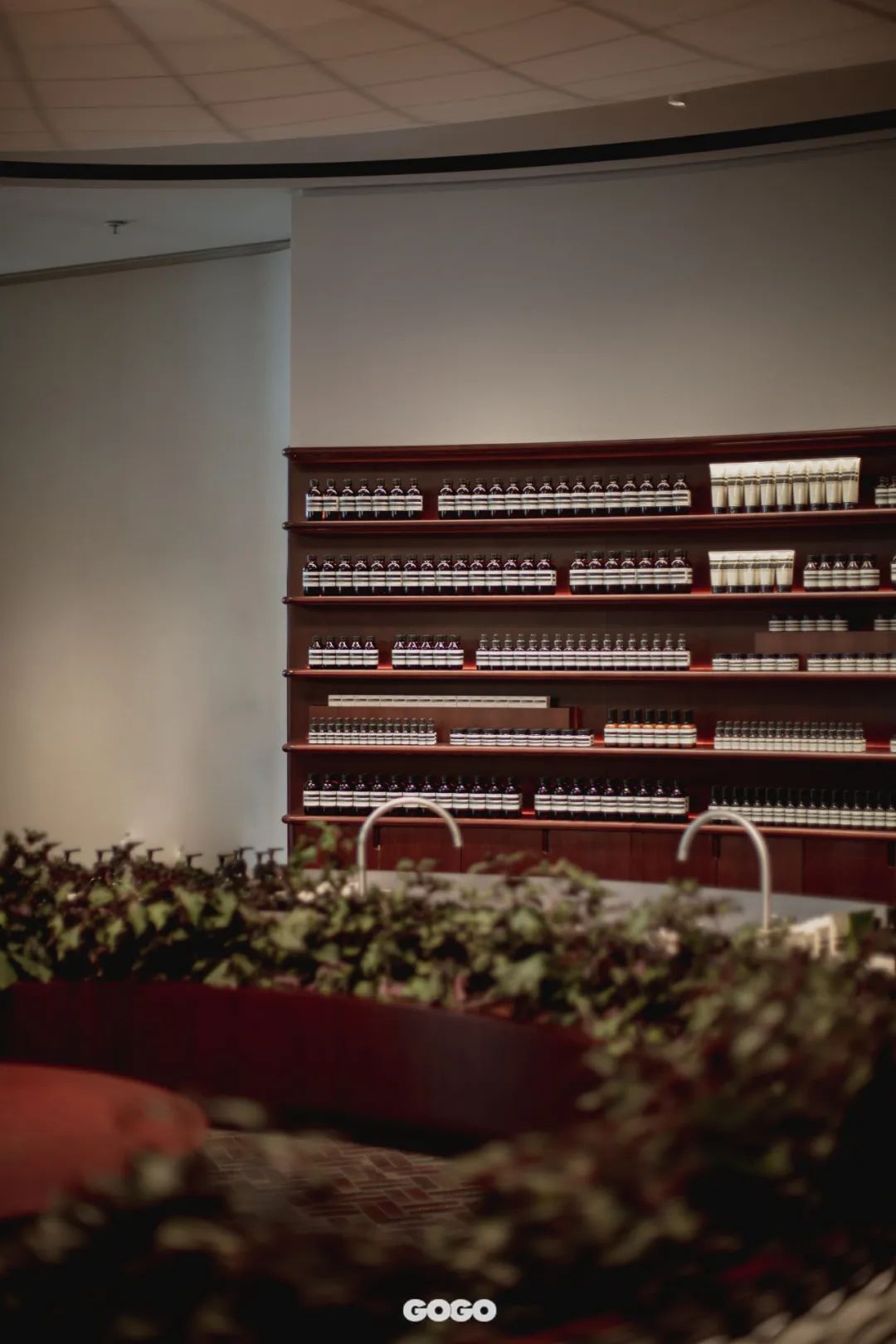 aesop浼婄储logo,aesop浼婄储鏁堟灉