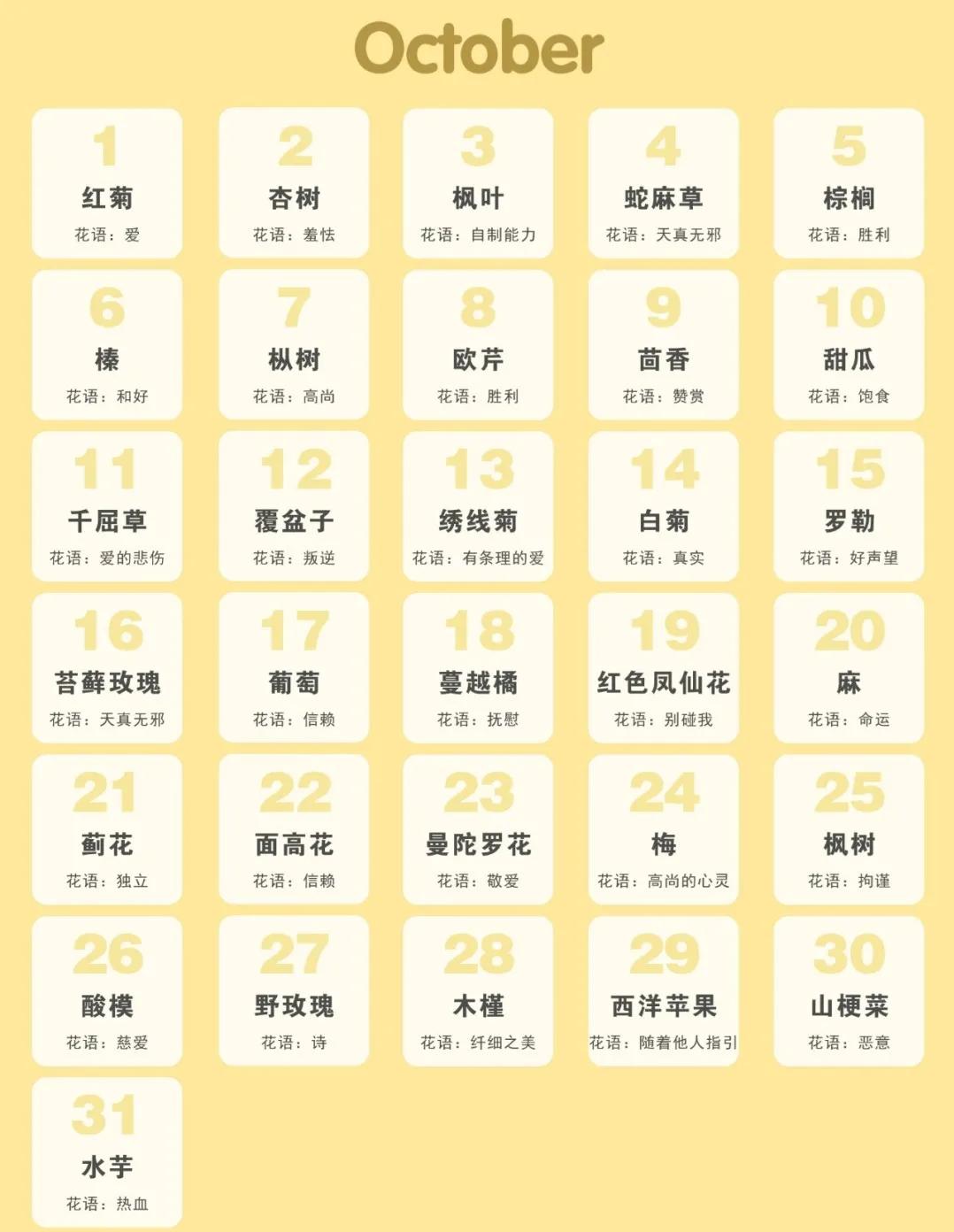 365生日花语大全,关于生日的花的花语