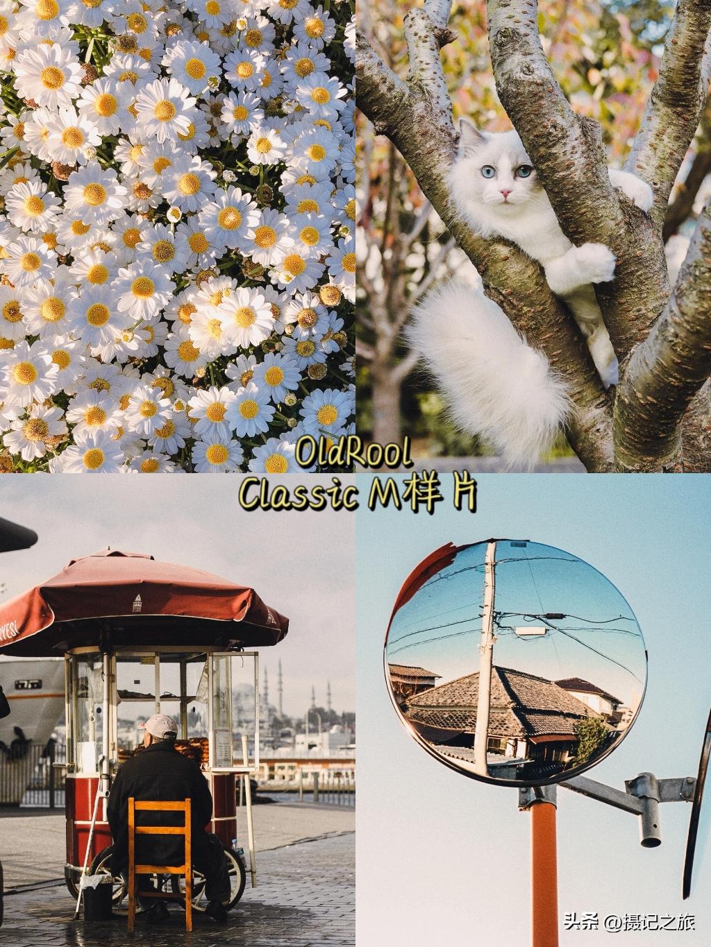 出片神器|4款超好用的仿胶片app推荐