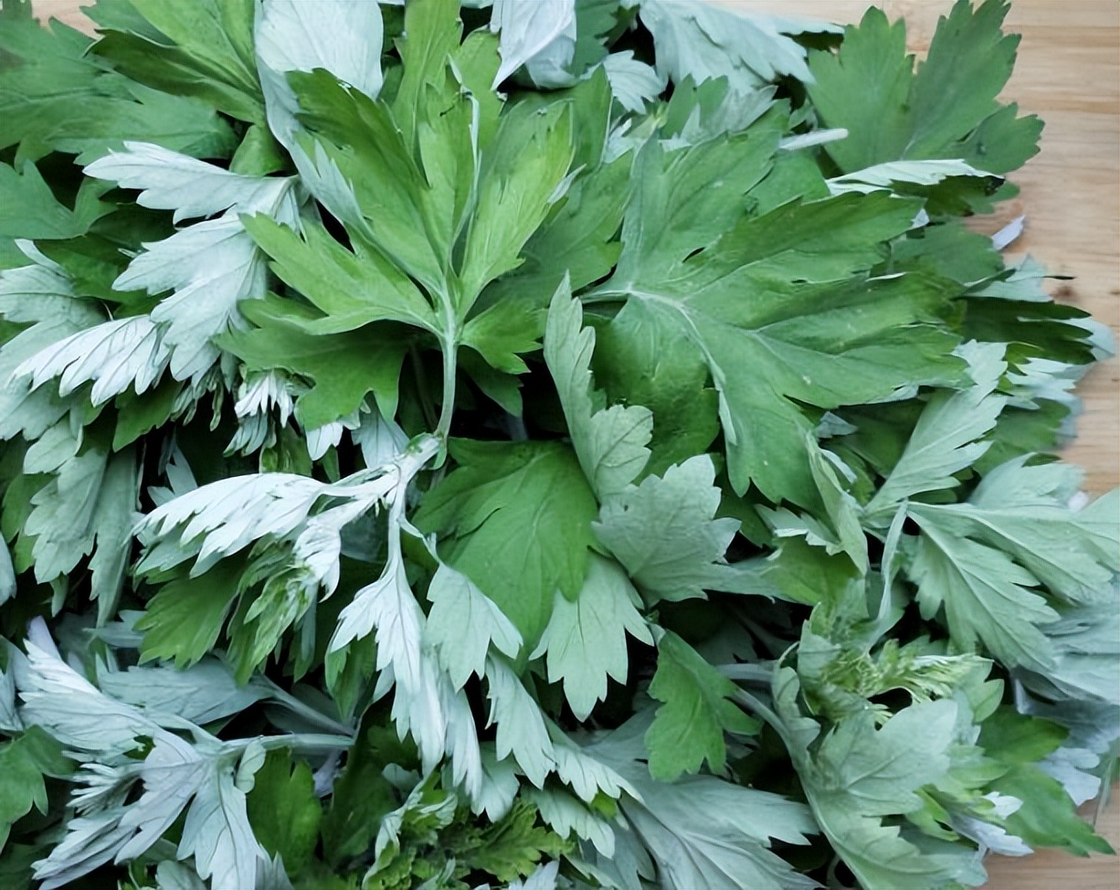 艾叶加生姜泡脚的功效坚持一个月,长年坚持花椒艾叶泡脚