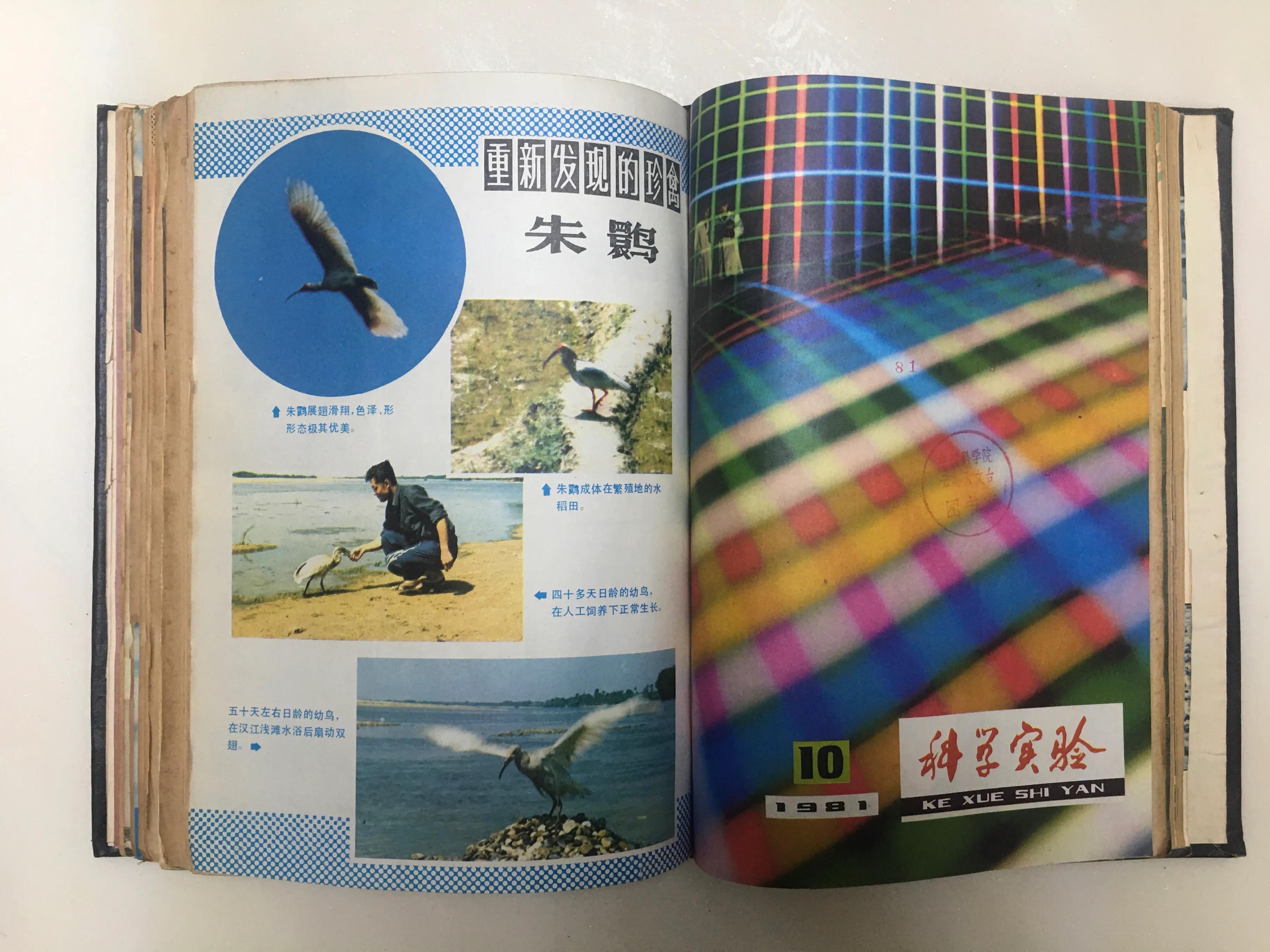 六七十年代科学实验杂志,关于科学史的科普杂志