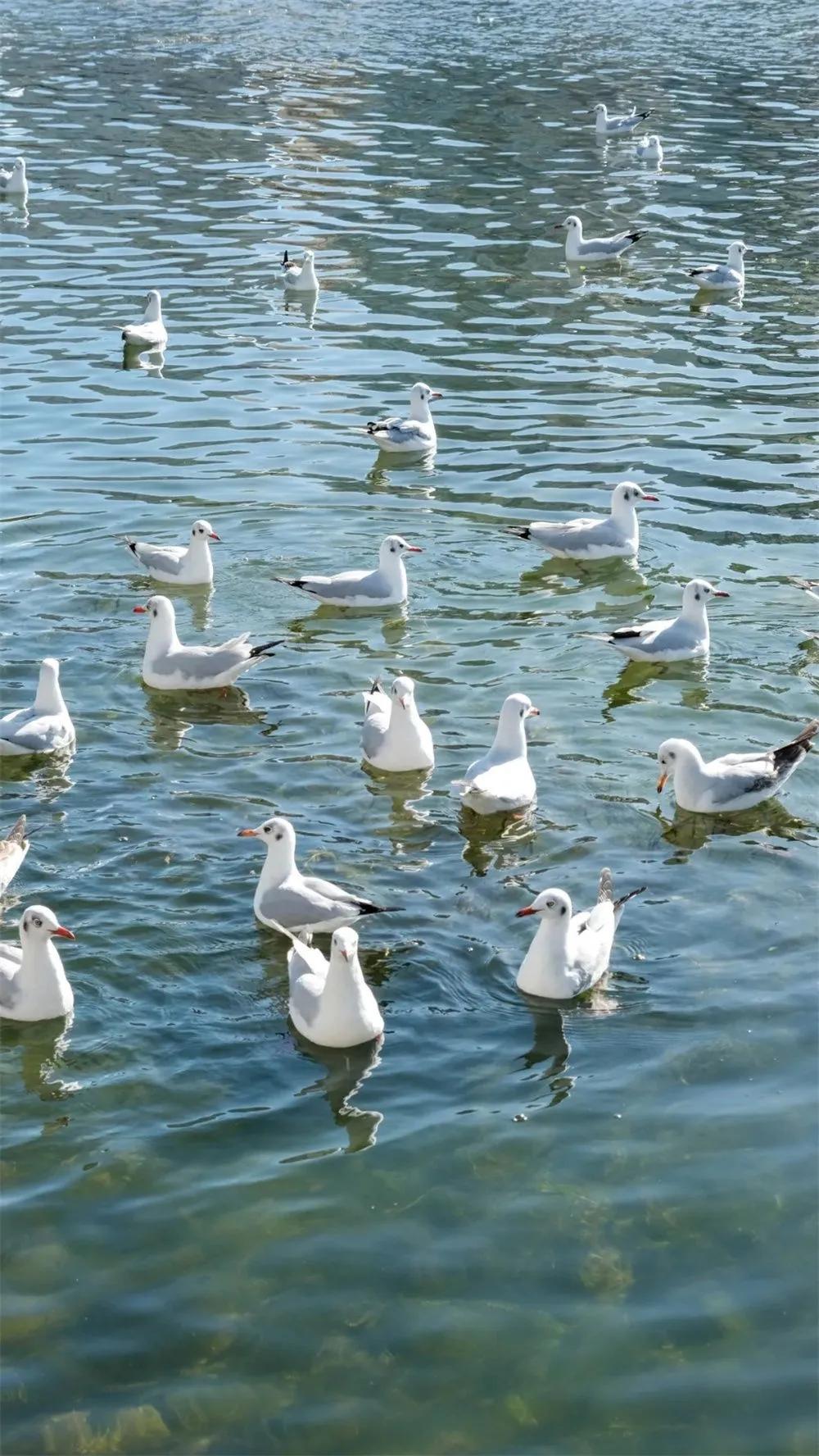 有一种生活叫大理山,有一种生活叫大理夜生活