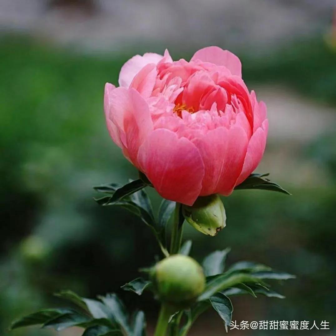 我想你了怎么办高情商回答,怎么办我想你了韩语