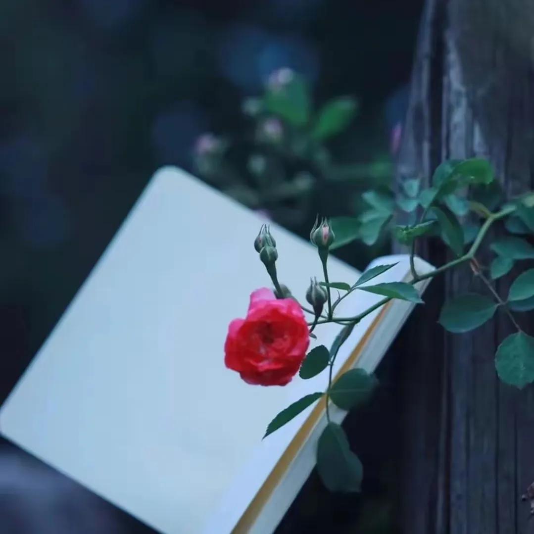 价值投资选股及买点,价值投资的选股指标