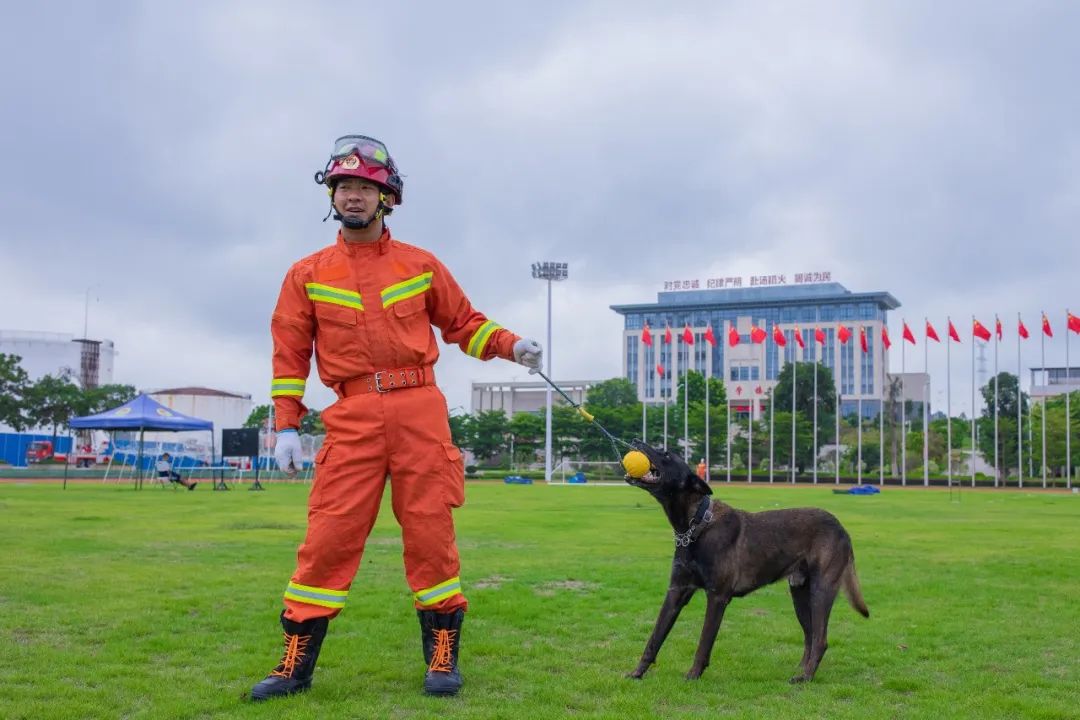 王鹏这个人怎么样,王鹏评价