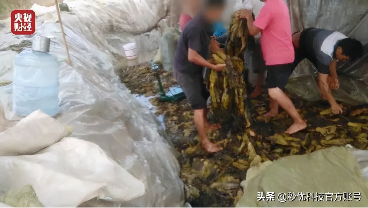 今年315晚会曝光哪些不良产品,315晚会曝光的产品后续