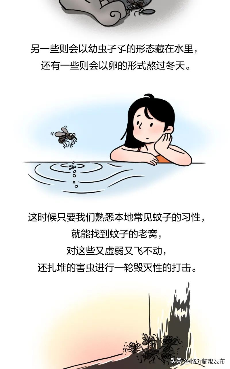 蚊子太毒怎么处理,彻底绝杀蚊子的妙招