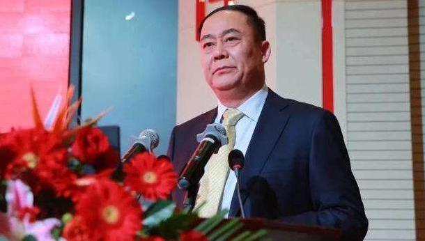 我国“复合肥巨头”金正大：4年造假231亿，8名高管被罚755万