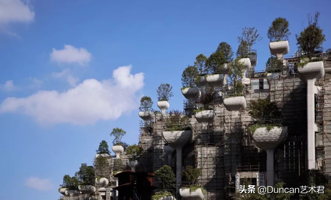 上海新打卡地千树,上海最新地标1000棵树