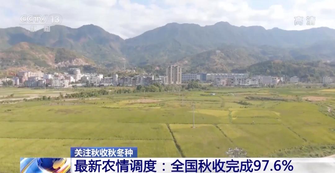 土疙瘩变成金豆豆，讲述甘肃脱贫故事影片《我心向上》定档11月22日【今日早报】