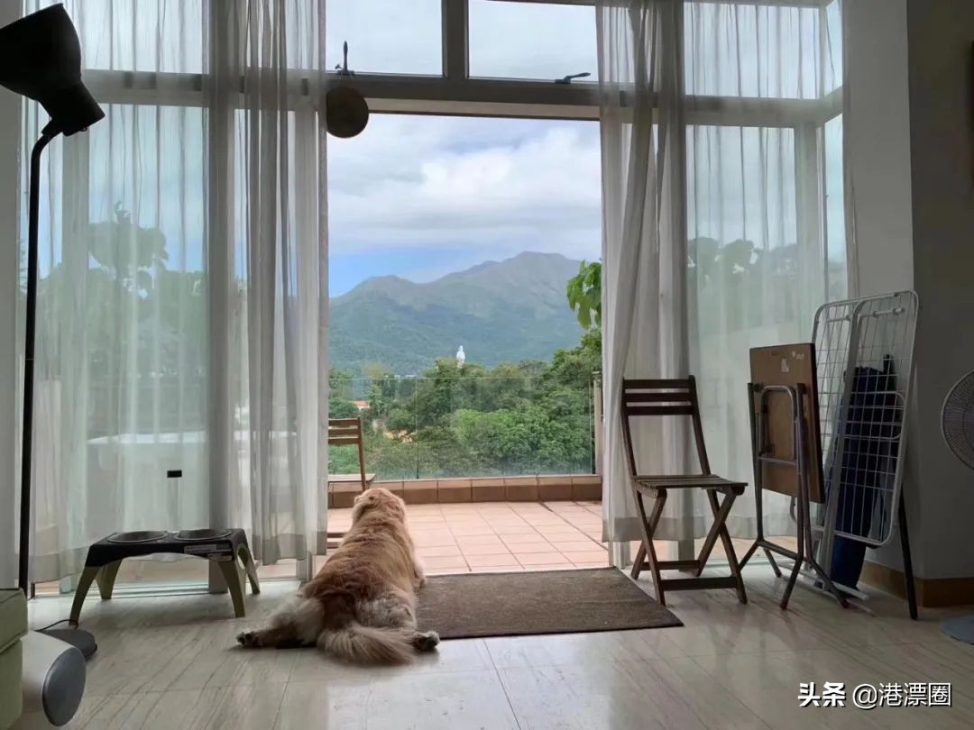 香港有钱人真实生活,香港富翁体验底层生活