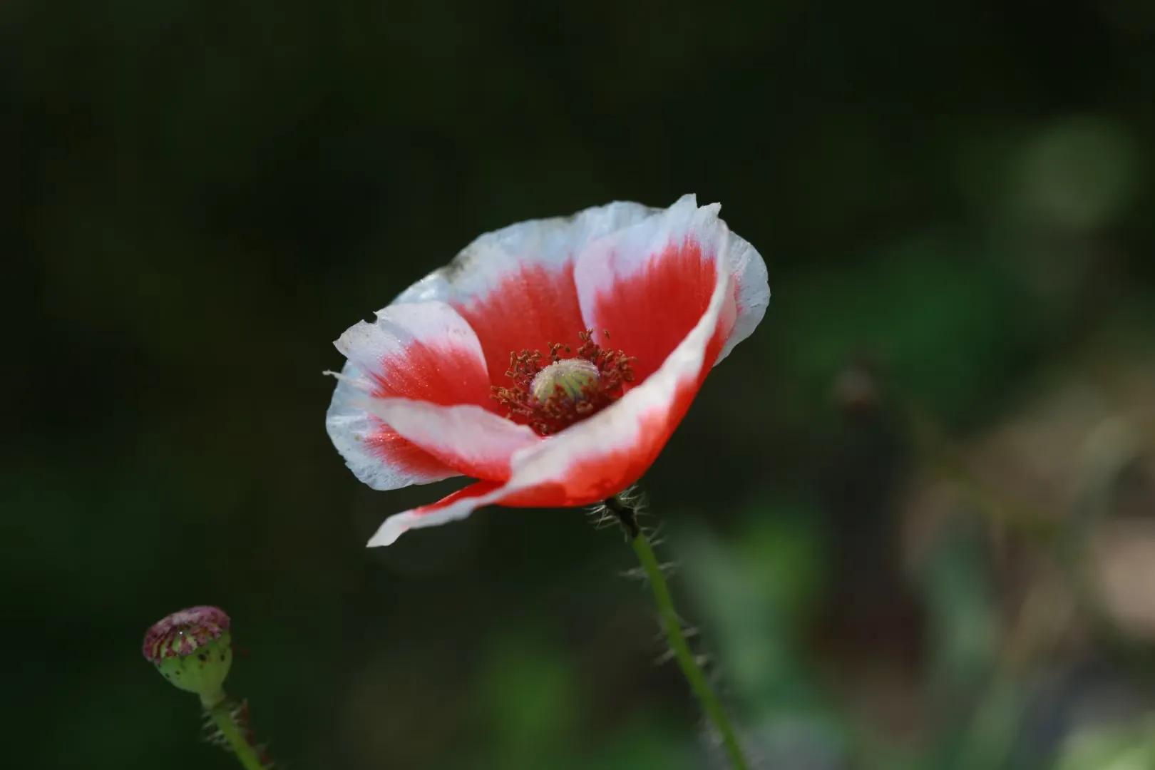 工作群的人怎么管理,在一个工作群里如何合理管理