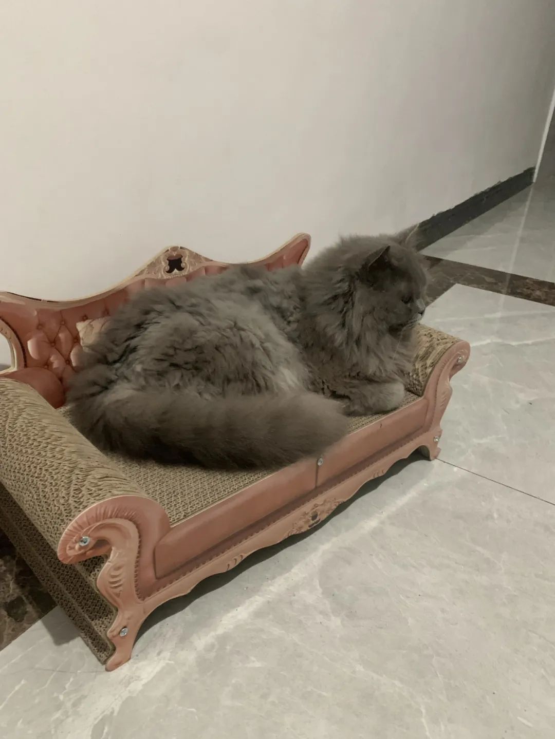 拼夕夕好物推荐第一集,拼夕夕的平价好物有哪些