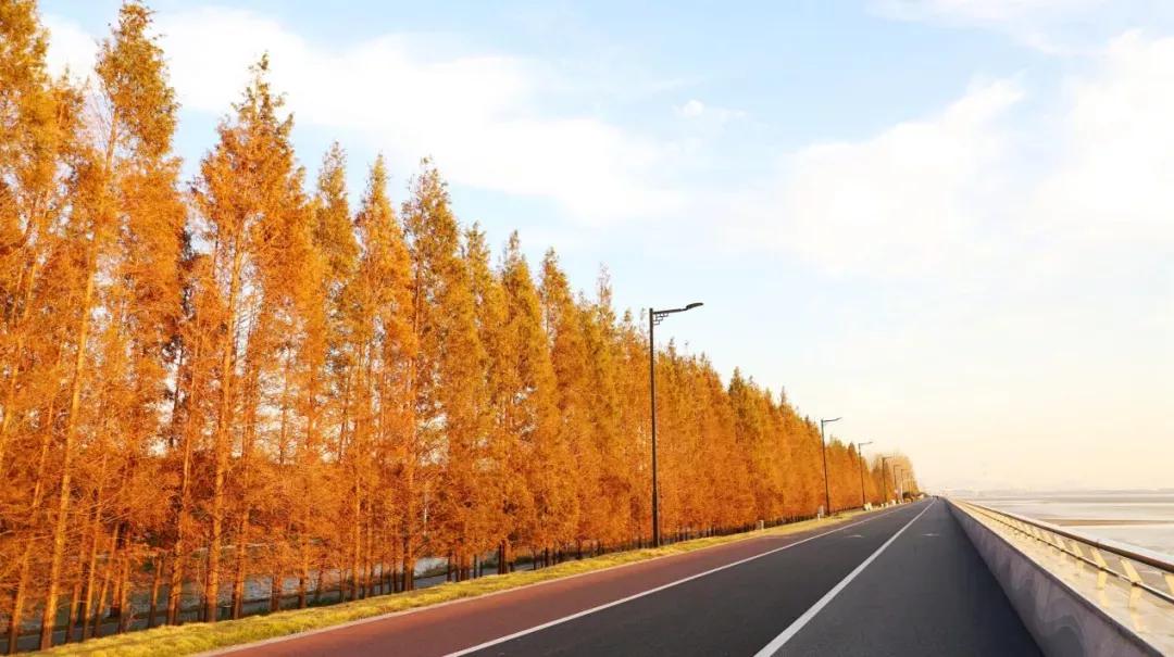 杭州西湖微信头像图片,杭州风景图片头像