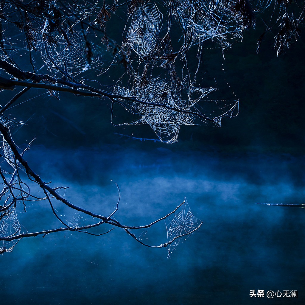 愿天下无“癌”：鼻咽癌患者，拒绝吃肉家人反对，半年后病毒清零