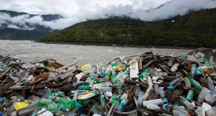 分析低俗网红现象出现原因,低俗网红到底该不该封杀