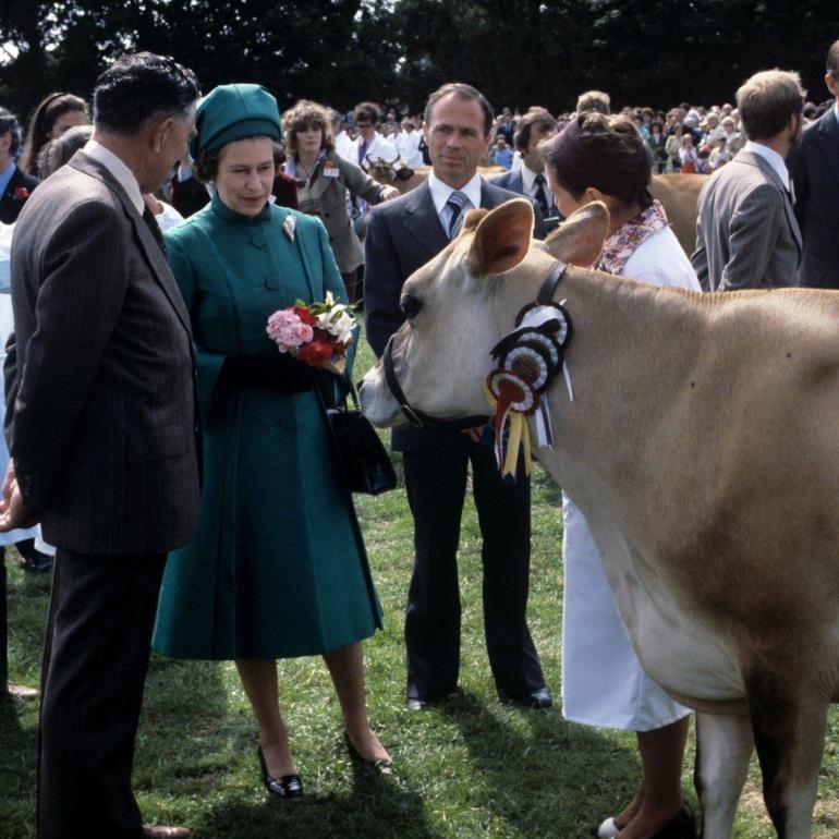 九十六张照片回顾英国女王的一生 (96张图看完英国女王的一生)
