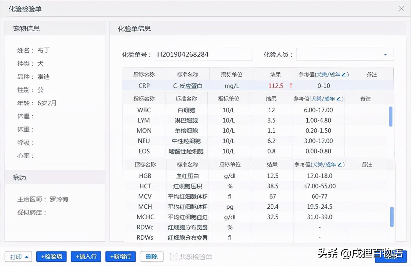 狗颈椎痛针灸,狗狗腰椎颈椎病怎么治疗