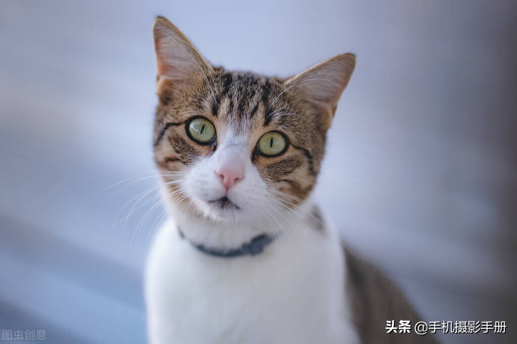 入门摄影不得不学的20个构图方法,摄影新手必须知道的十大构图方法