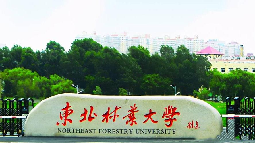 东北林业大学是双一流吗,东北林业大学是双一流学校么