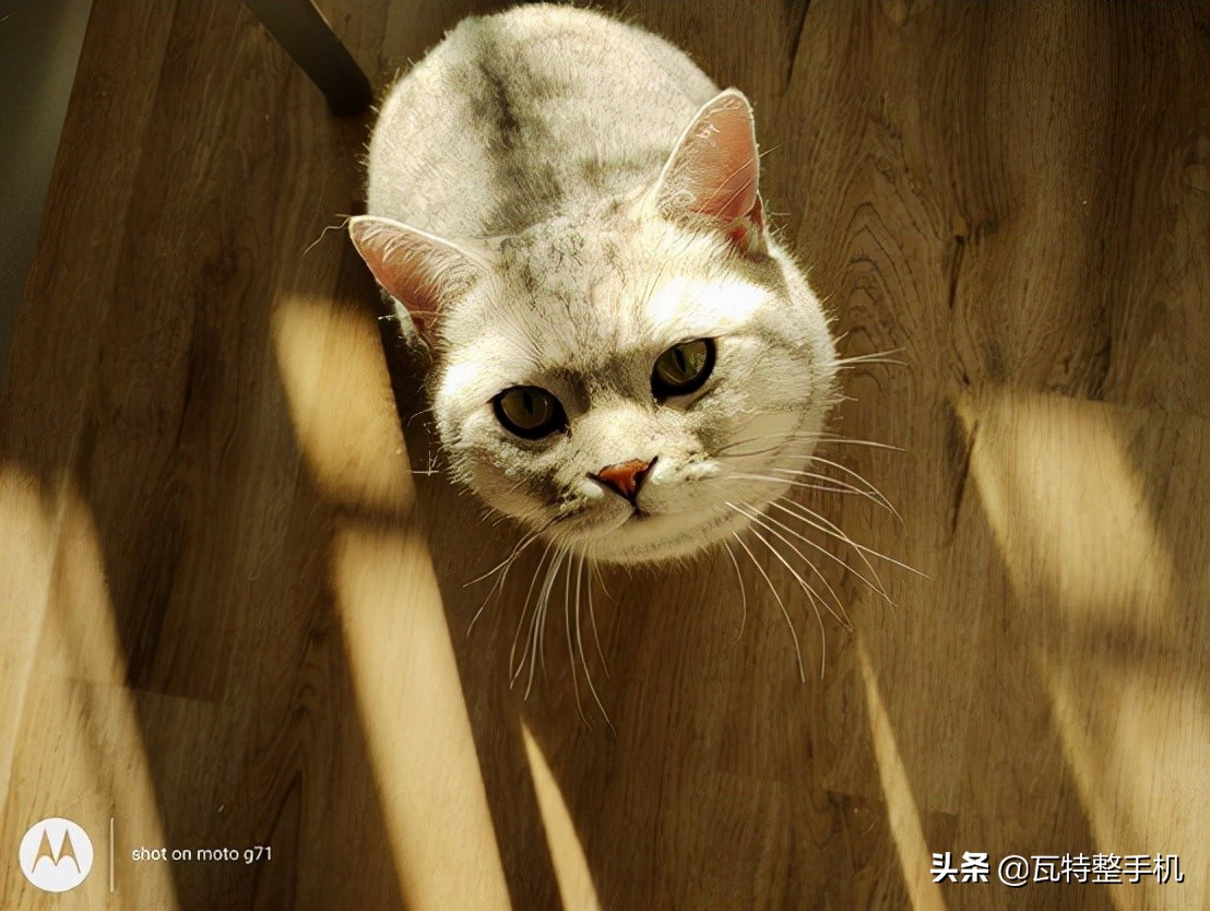 motog71s怎么样,motog71和motog71s比较